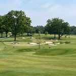 green grass with the flag in the hole.