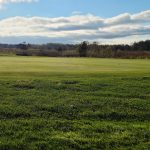 Panoramic view of a lush green golf course at The Mackinaw Club Golf Course. Smooth