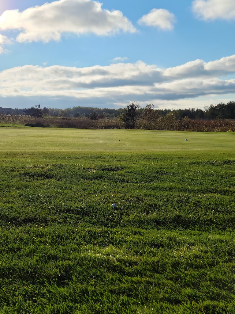 Panoramic view of a lush green golf course at The Mackinaw Club Golf Course. Smooth