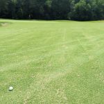 green grass with the flag in the hole.