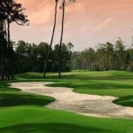 green grass with the flag in the hole.