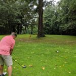green grass with the flag in the hole.