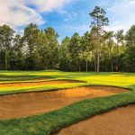 green grass with the flag in the hole.