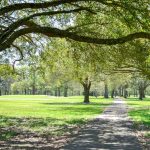 Panoramic view of a lush green golf course at The Pines at North Park. Smooth