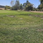 Panoramic view of a lush green golf course at The Plains Golf Course. Smooth