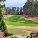 green grass with the flag in the hole.