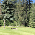 green grass with the flag in the hole.