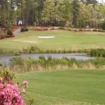 green grass with the flag in the hole.