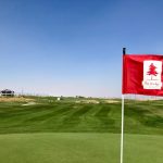 green grass with the flag in the hole.