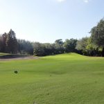 green grass with the flag in the hole.