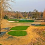 green grass with the flag in the hole.