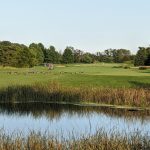Panoramic view of a lush green golf course at The Rookery Golf Course. Smooth