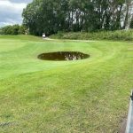green grass with the flag in the hole.