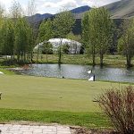 green grass with the flag in the hole.