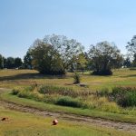 green grass with the flag in the hole.