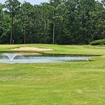 green grass with the flag in the hole.