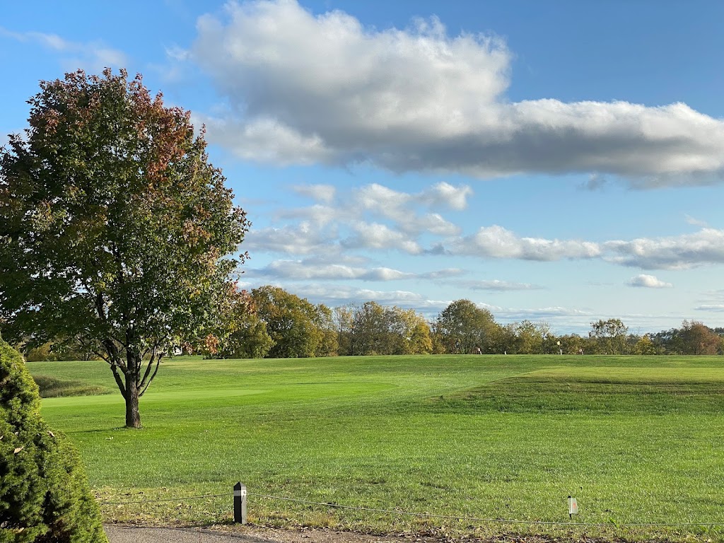 Panoramic view of a lush green golf course at Thoroughbred Golf Club. Smooth