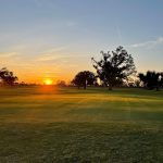 green grass with the flag in the hole.