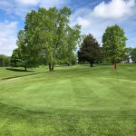 green grass with the flag in the hole.