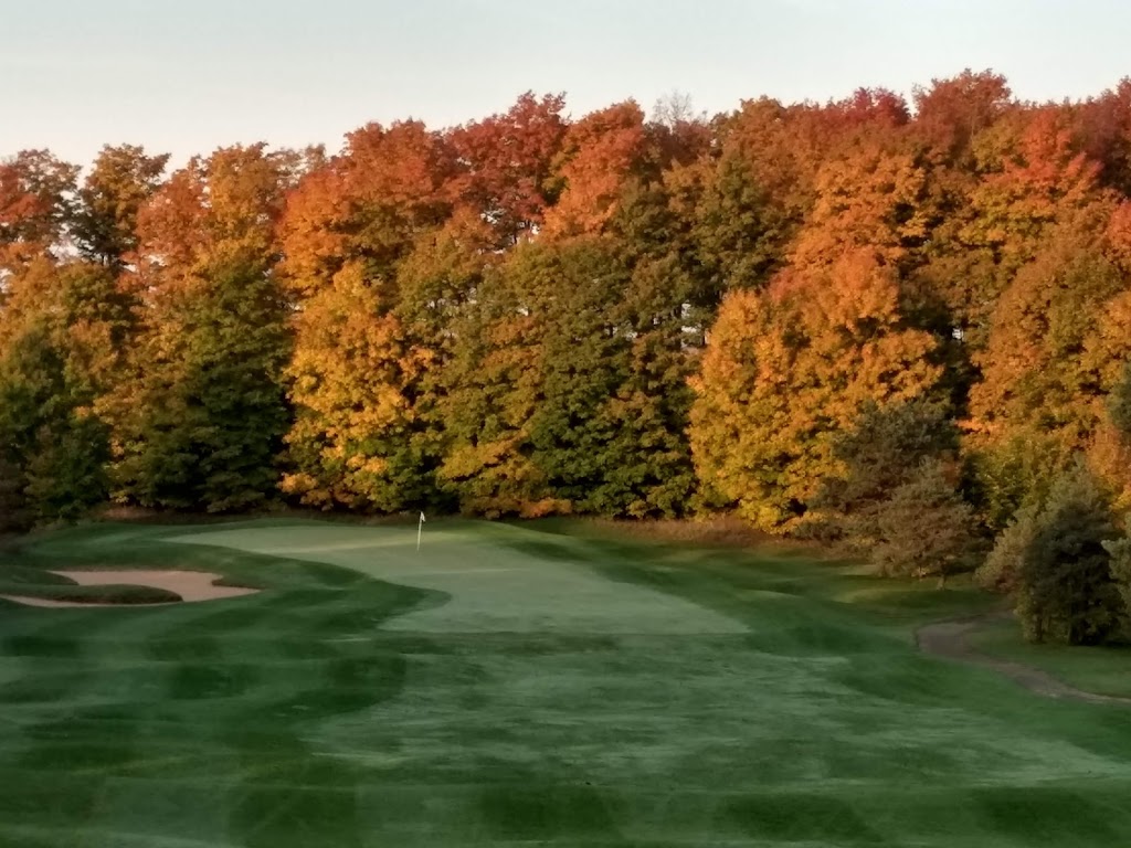 Panoramic view of a lush green golf course at Timber Wolf Golf Club. Smooth