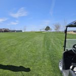 green grass with the flag in the hole.
