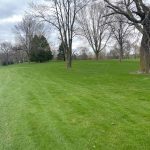 green grass with the flag in the hole.