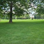Panoramic view of a lush green golf course at Tipton Municipal Golf Course. Smooth
