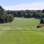 green grass with the flag in the hole.