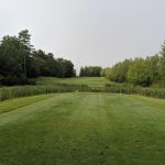 green grass with the flag in the hole.