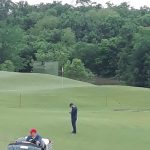 green grass with the flag in the hole.