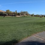 green grass with the flag in the hole.