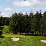 green grass with the flag in the hole.