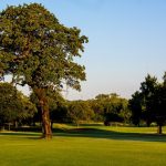 Panoramic view of a lush green golf course at Trosper Golf Course. Smooth