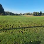 Panoramic view of a lush green golf course at Trysting Tree Golf Club. Smooth