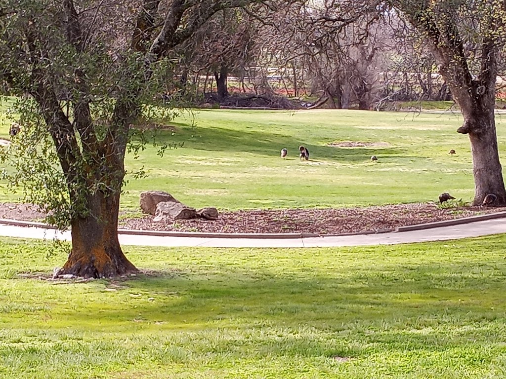 Panoramic view of a lush green golf course at Turkey Creek Golf Club. Smooth