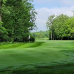 green grass with the flag in the hole.