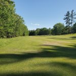 green grass with the flag in the hole.