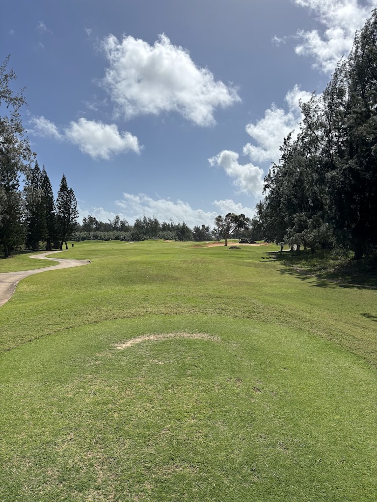 Panoramic view of a lush green golf course at Turtle Bay Golf. Smooth