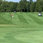 green grass with the flag in the hole.