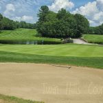 green grass with the flag in the hole.