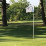 green grass with the flag in the hole.