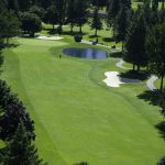 green grass with the flag in the hole.