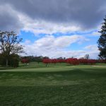 Panoramic view of a lush green golf course at United States Naval Academy Golf Club. Smooth