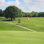 green grass with the flag in the hole.