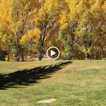 green grass with the flag in the hole.