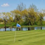 green grass with the flag in the hole.