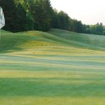 green grass with the flag in the hole.