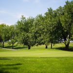 Panoramic view of a lush green golf course at Veterans Memorial Golf Course. Smooth