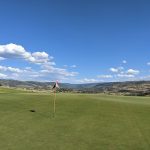 green grass with the flag in the hole.