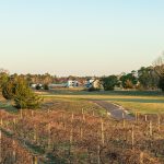 Panoramic view of a lush green golf course at Vineyard National at Renault. Smooth